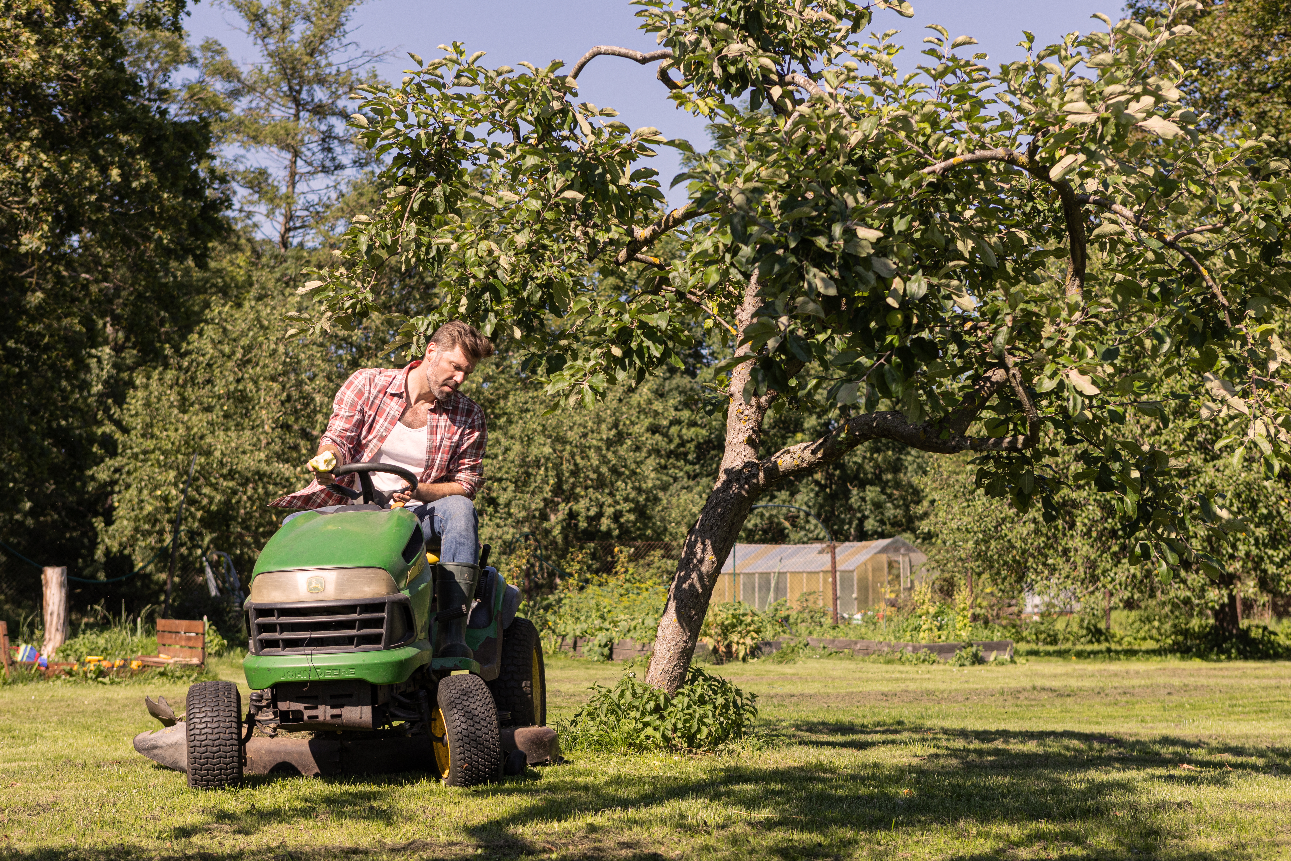 Mees niidab murutraktoriga muru viljapuu all aias.